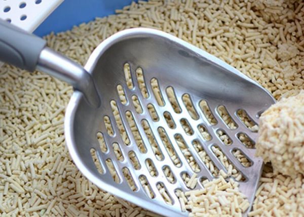 pet shovel 21