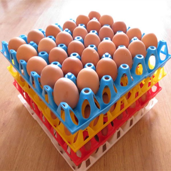 Egg tray 9
