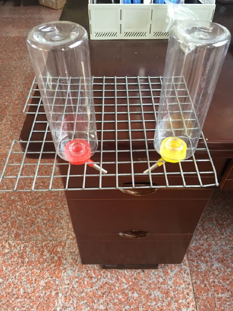 Waterer for rabbits 1