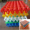 egg tray