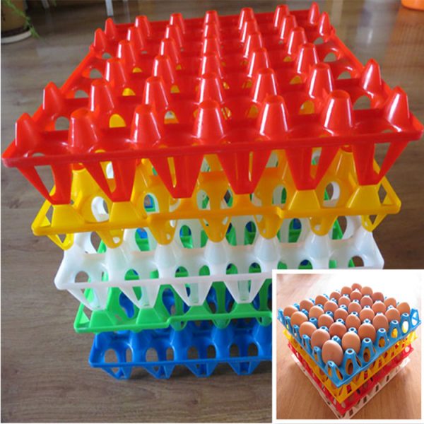 egg tray