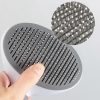 Pet Brush 1