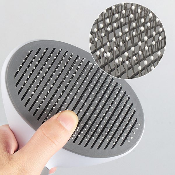 Pet Brush 1