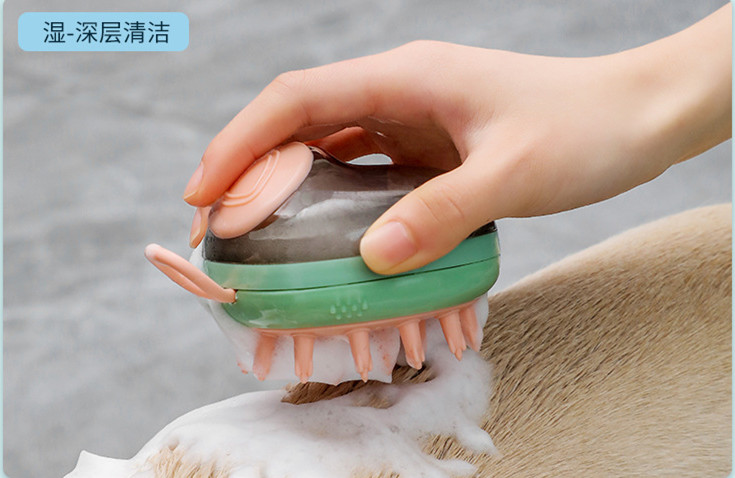 pet brush 6 1