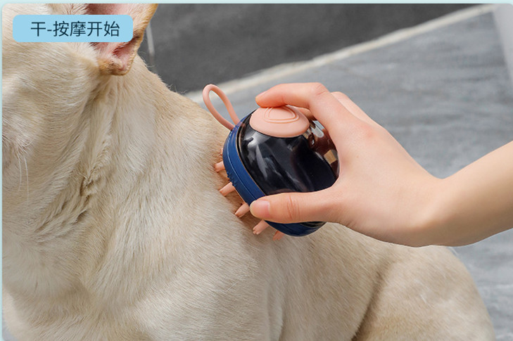 pet brush 7