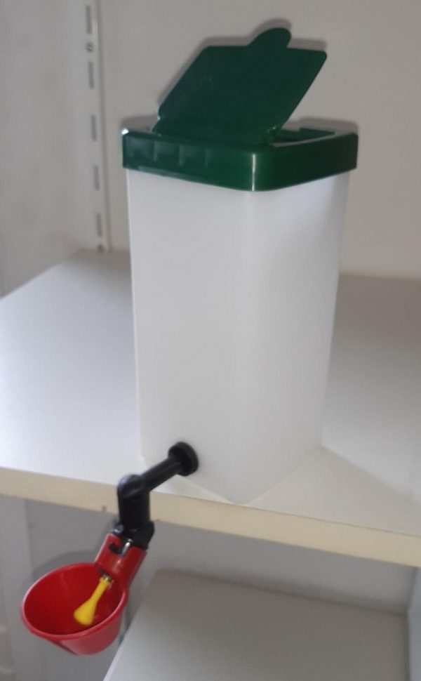 Rabbit Water Bottle 14